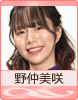野仲美咲